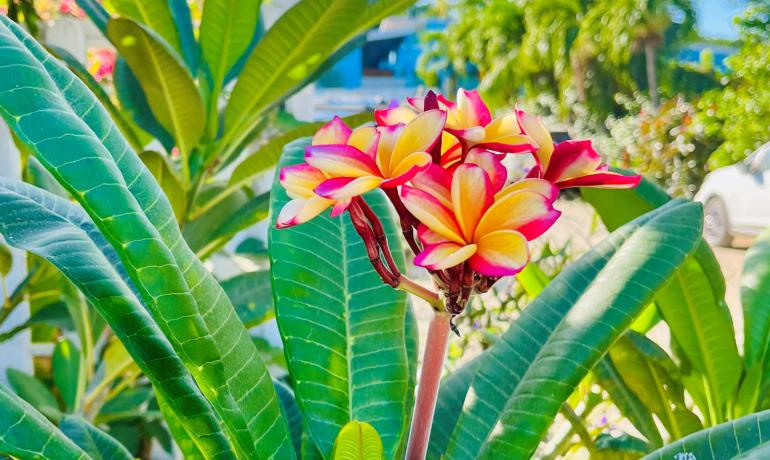 Adventures & Tours in Guanacaste